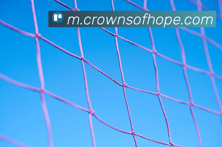 皇冠crown体育平台APP 封面图